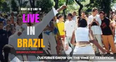 Exploring Brazil: Culture, Lifestyle, and Daily Life in a Vibrant Nation
