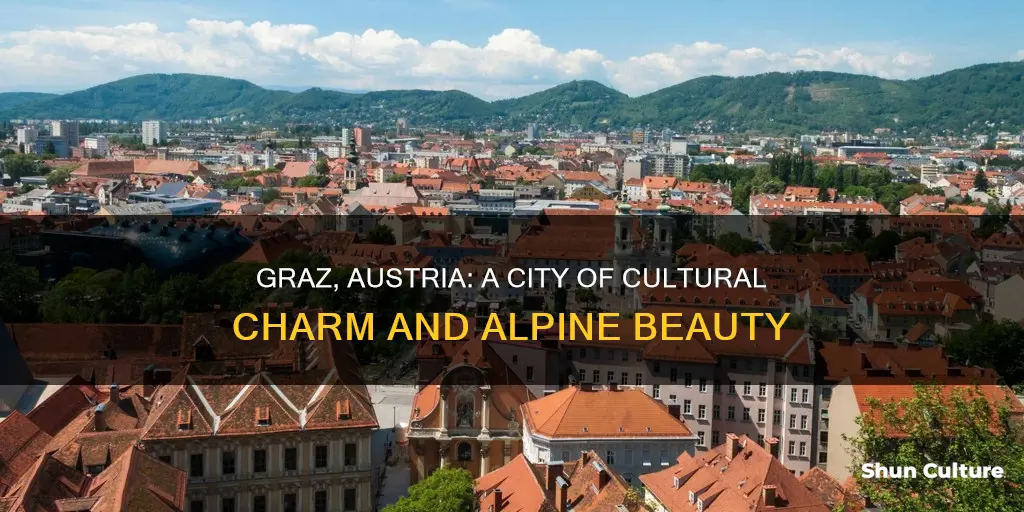 what is it like to live in graz austria