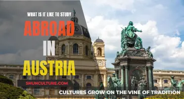 Exploring Austria's Charm: A Student's Journey Abroad