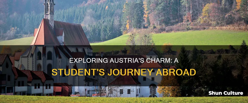 what is it like to study abroad in austria