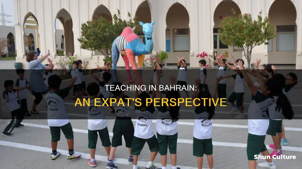 what is it like to teach in bahrain