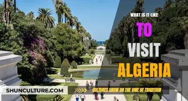 Exploring Algeria: A Journey Through Culture, History, and Breathtaking Landscapes
