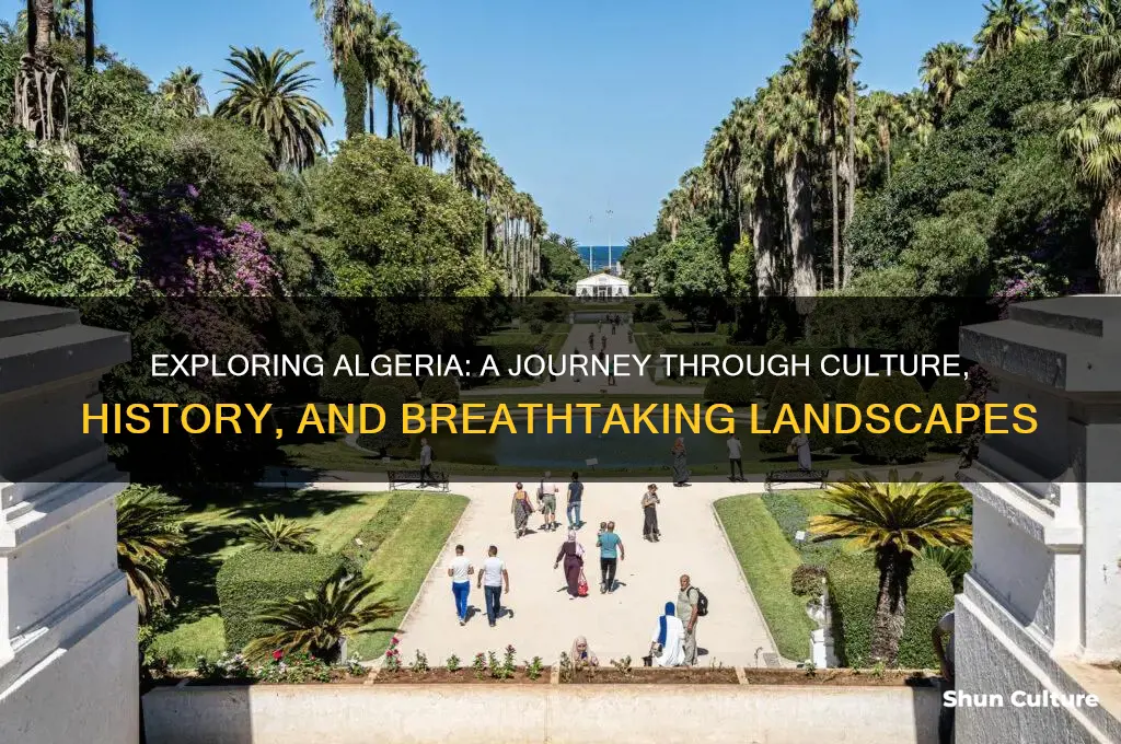 what is it like to visit algeria