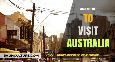 Exploring Australia: A Traveler's Guide to Its Unique Wonders and Culture