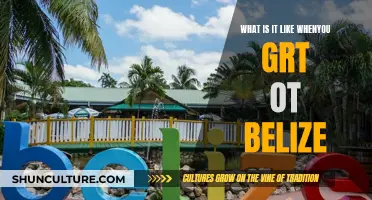 Belize Unveiled: A Journey to the Heart of Adventure