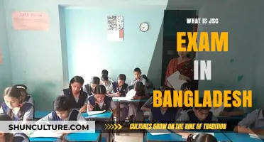 Understanding Bangladesh's JSC Exam: Purpose, Structure, and Importance
