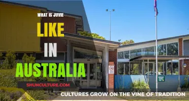 Inside Australia's Juvenile Justice System: Life in Juvie Explained