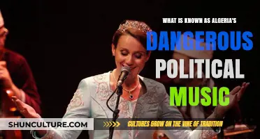 Algeria's Political Music: A Risky Beat of Dissent and Defiance