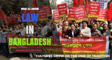 Understanding Bangladesh's Labour Law: Rights, Regulations, and Worker Protections