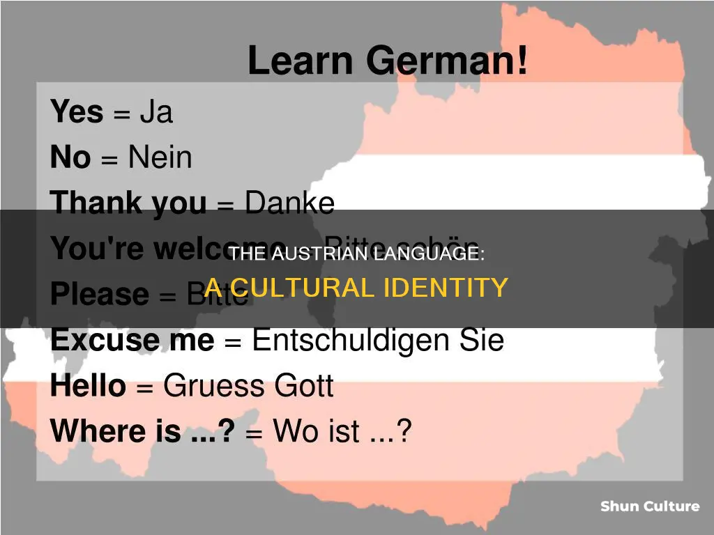 what is language of austria