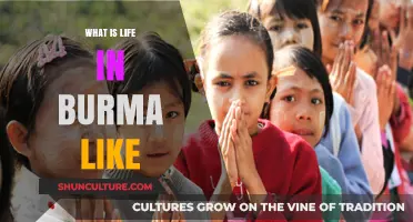 Exploring the Rich Culture and Daily Life in Myanmar