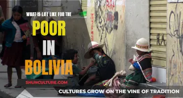 Bolivia's Poor: A Life of Challenges and Resilience