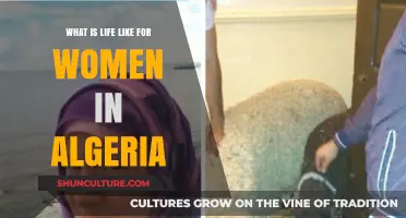 Life in Algeria: Women's Experiences, Challenges, and Cultural Realities