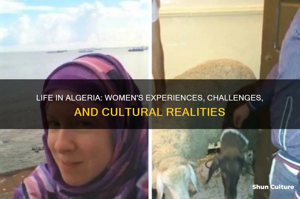 what is life like for women in algeria