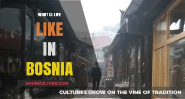 Exploring Bosnia: Culture, Daily Life, and Traditions in the Heart of the Balkans