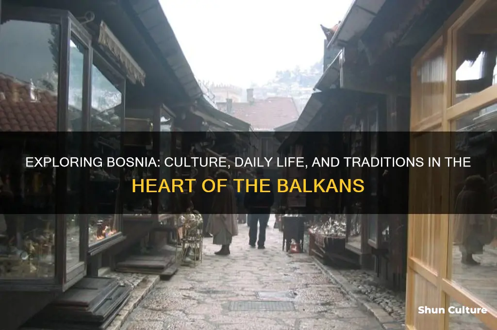what is life like in bosnia