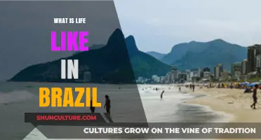Exploring Brazil's Culture, Lifestyle, and Daily Life Experiences