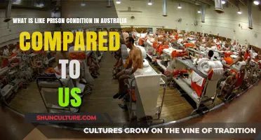 Comparing Australian and US Prison Conditions: Key Differences and Similarities