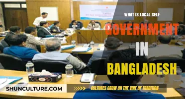 Understanding Local Self-Government Structure and Function in Bangladesh