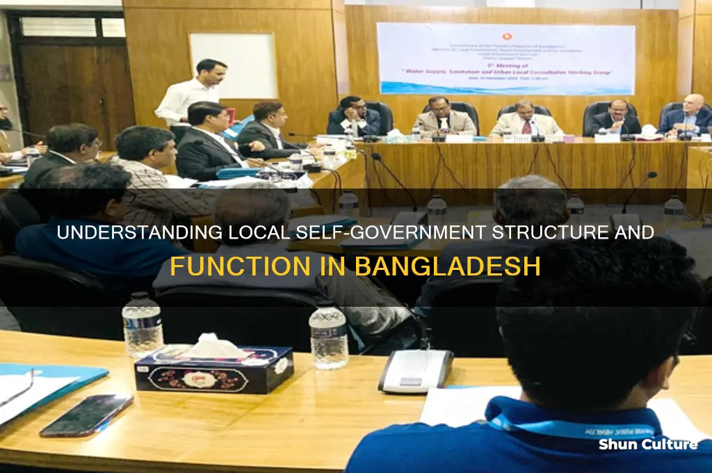 what is local self government in bangladesh
