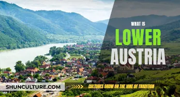 Exploring the Heart of Austria: Discover Lower Austria's Charms