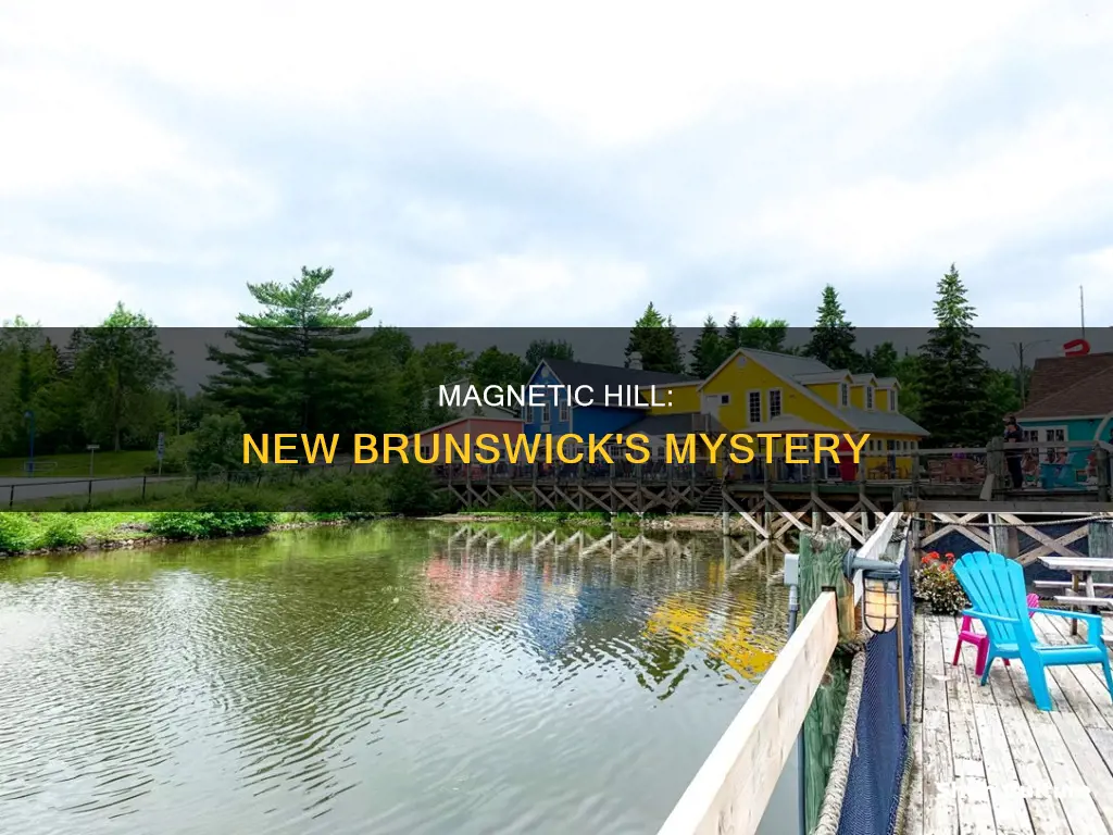 what is magnetic hill in new brunswick