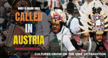 Mardi Gras Traditions: Exploring Austria's Unique Carnival Celebrations