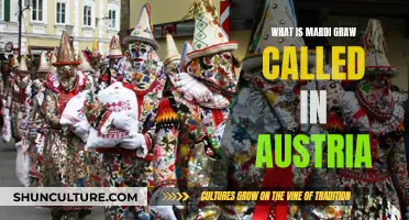 Carnival's Austrian Name: A Cultural Exploration