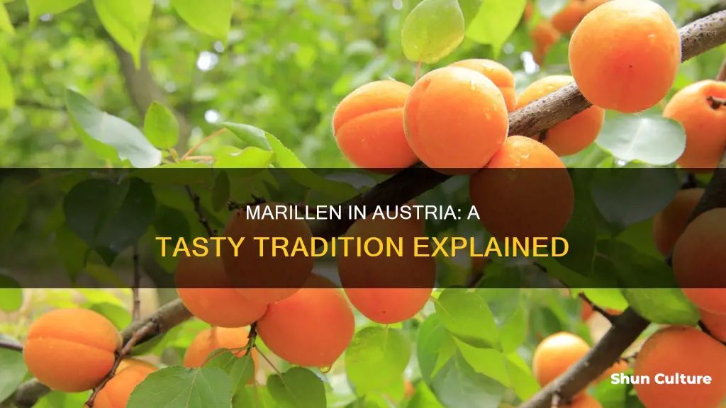 what is marillen in austria