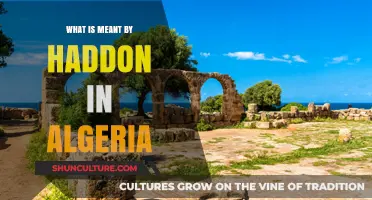 Understanding Haddon's Legacy and Cultural Significance in Algerian History