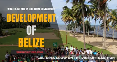 Belize's Blueprint: Sustainable Development in Action