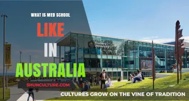Exploring Australian Medical School: Curriculum, Lifestyle, and Unique Challenges