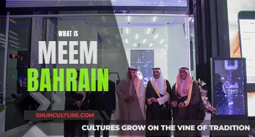 Bahrain's Meme: A Unique Cultural Expression