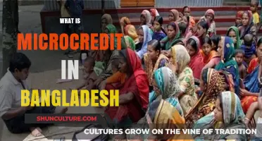 Understanding Microcredit in Bangladesh: Empowering Lives Through Small Loans