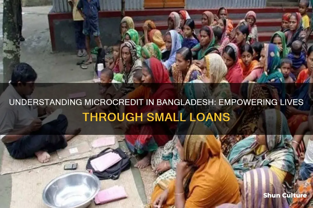 what is microcredit in bangladesh