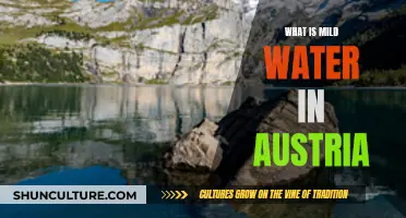 Exploring Austria's Mild Water: A Natural Wonder