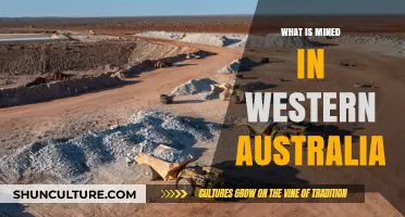 Western Australia's Rich Mineral Mines Uncovered