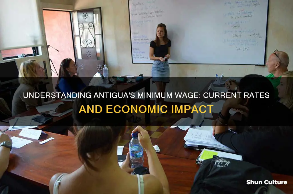 what is minimum wage in antigua