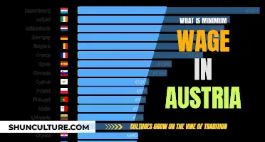 Understanding Austria's Minimum Wage: A Comprehensive Guide