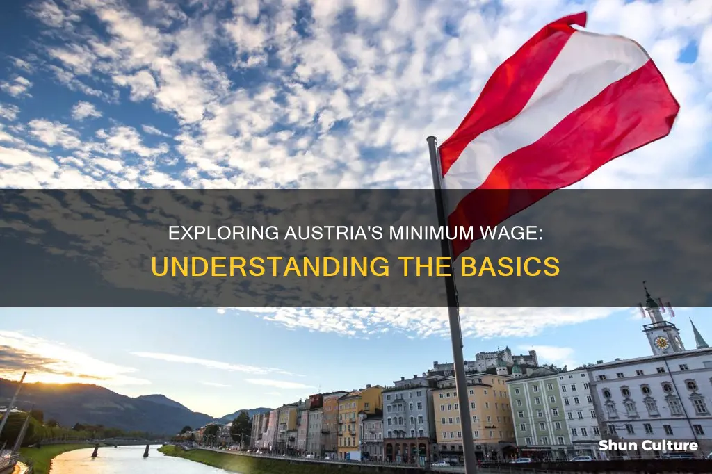 what is minimum wage in austria