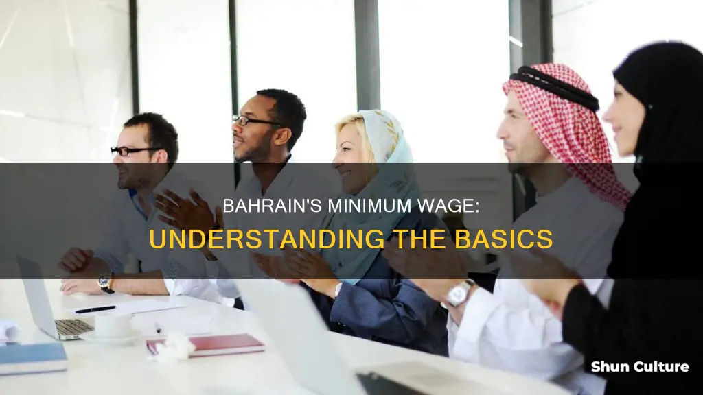 what is minimum wage in bahrain