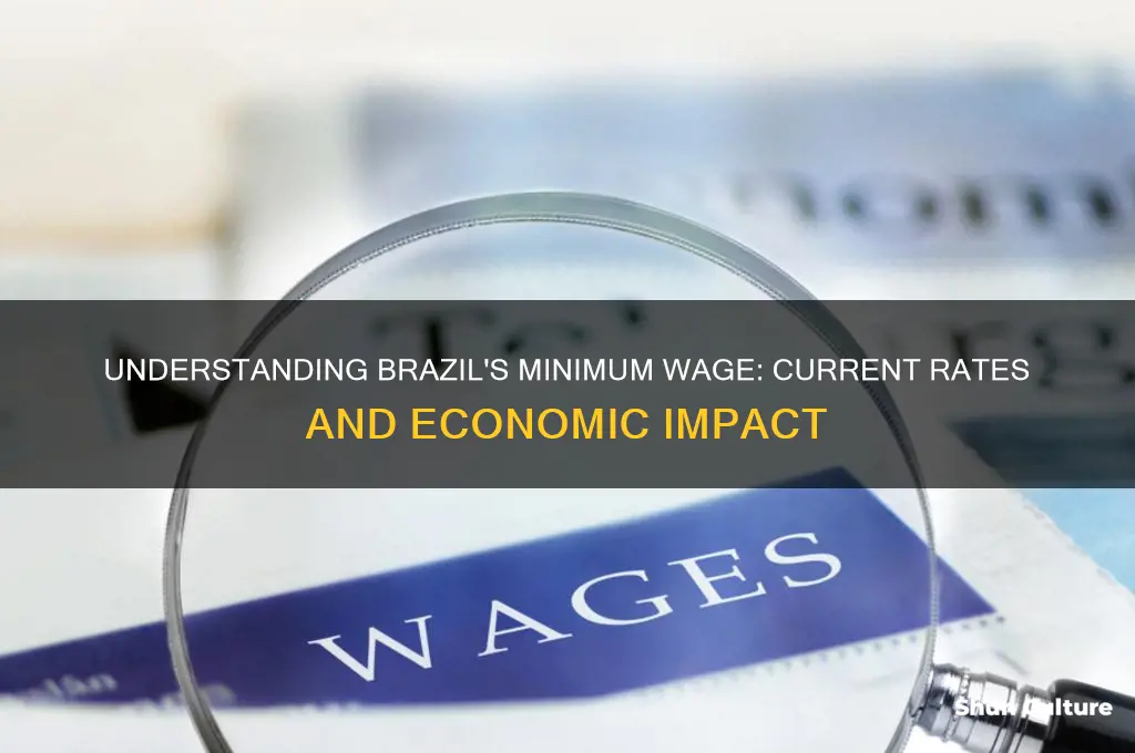 what is minimum wage in brazil
