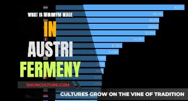 Understanding Austria's Minimum Wage: A Comprehensive Guide