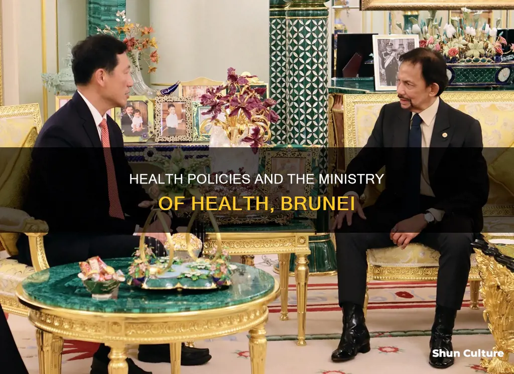 what is ministry of health brunei