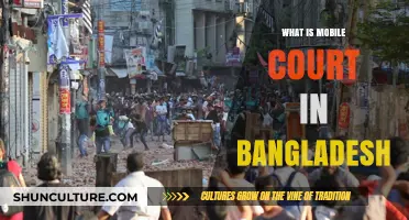 Understanding Bangladesh's Mobile Courts: Functions, Impact, and Legal Framework