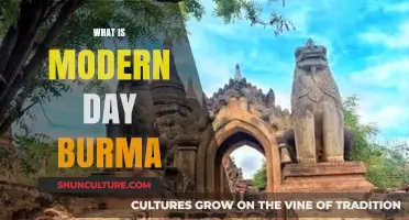 Exploring Myanmar: A Glimpse into Modern-Day Burma's Rich Culture and History