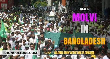 Understanding the Role of a Molvi in Bangladeshi Culture and Society
