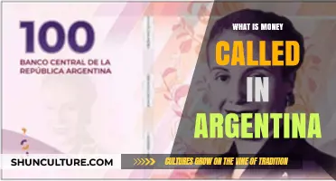 Understanding Argentine Currency: A Guide to the Peso and Beyond