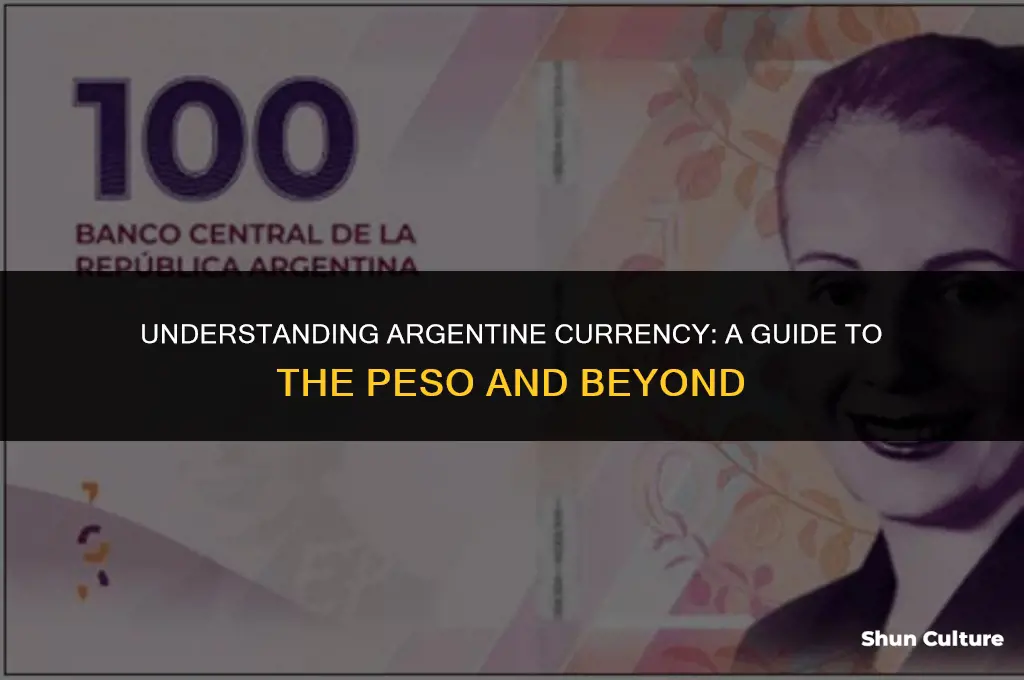 what is money called in argentina