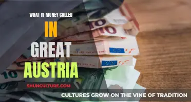 The Currency of Great Austria: Unveiling the Name of Money